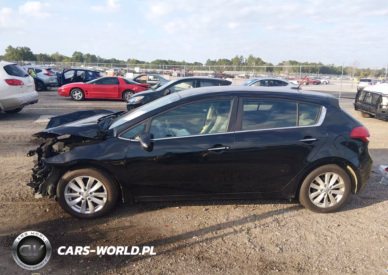 2015 Kia Forte Ex VIN:KNAFX5A86F5264887 - 13