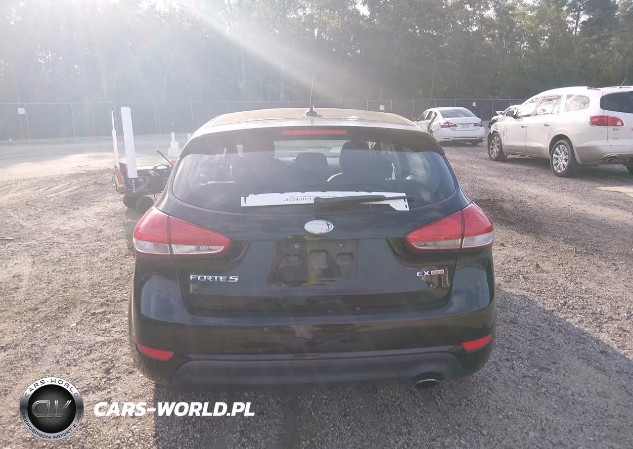 2015 Kia Forte Ex VIN:KNAFX5A86F5264887 - 15