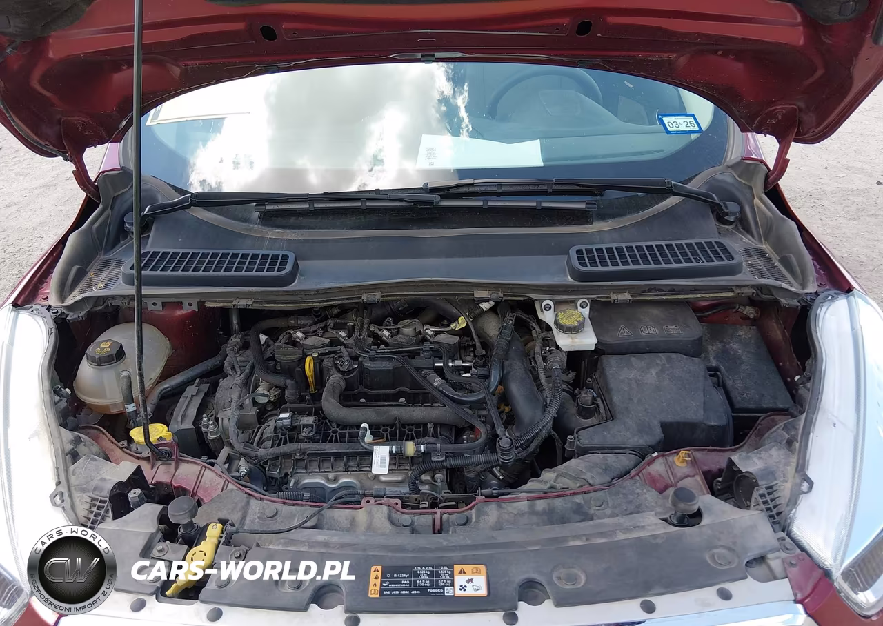 2019 Ford Escape Se VIN:1FMCU0GD4KUA81439 - 10