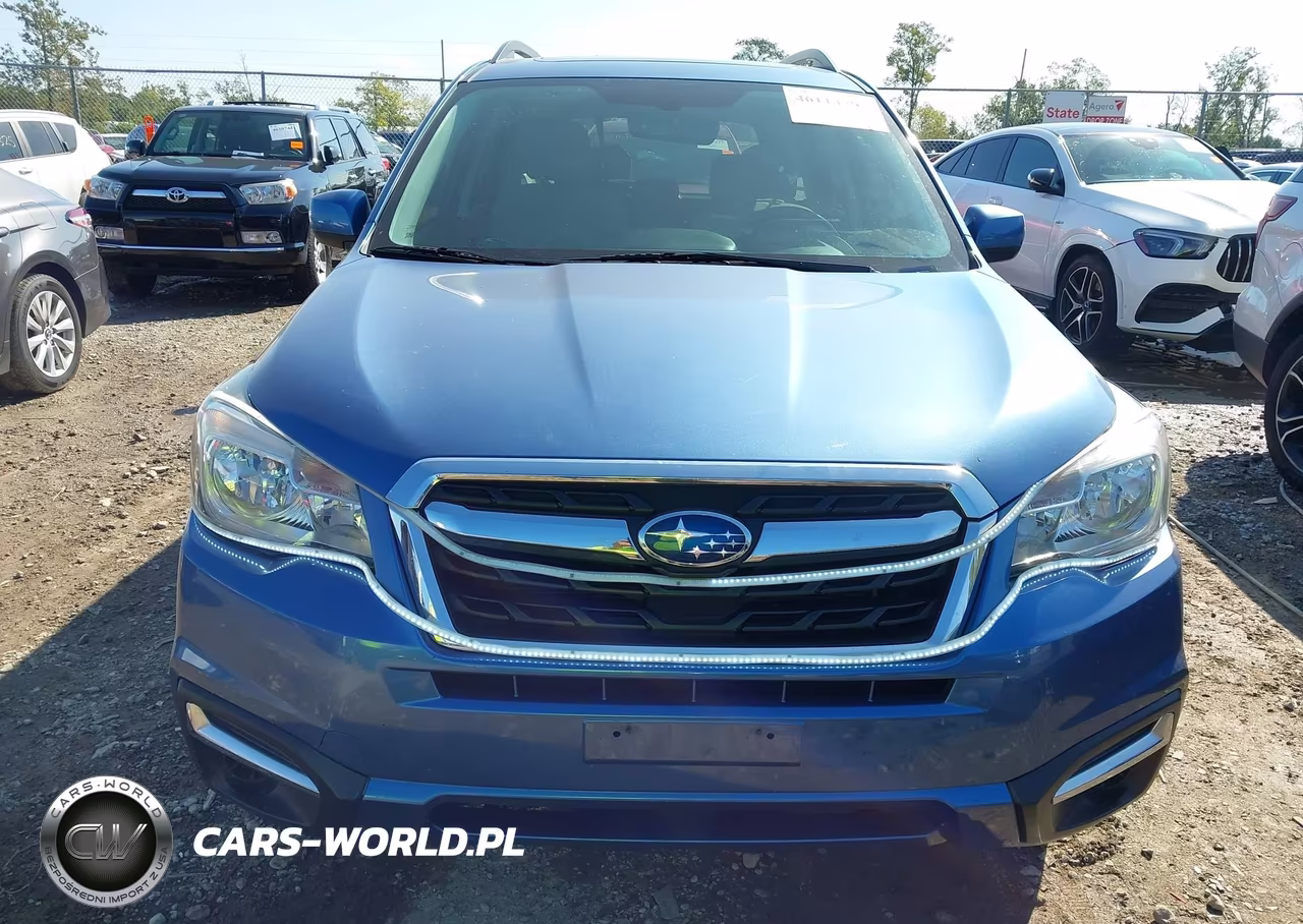 2017 Subaru Forester 2.5I Premium VIN:JF2SJAEC4HH486910 - 12