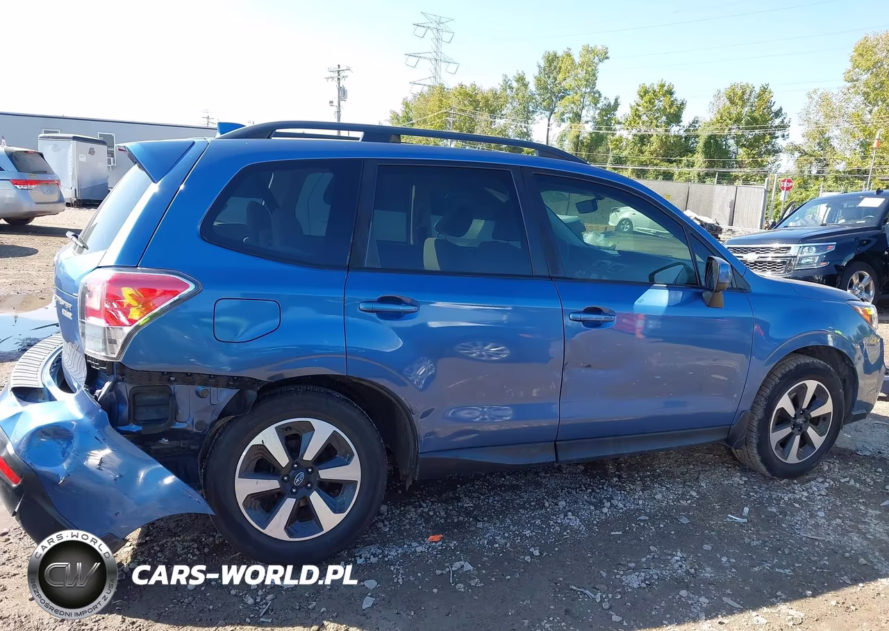 2017 Subaru Forester 2.5I Premium VIN:JF2SJAEC4HH486910 - 13