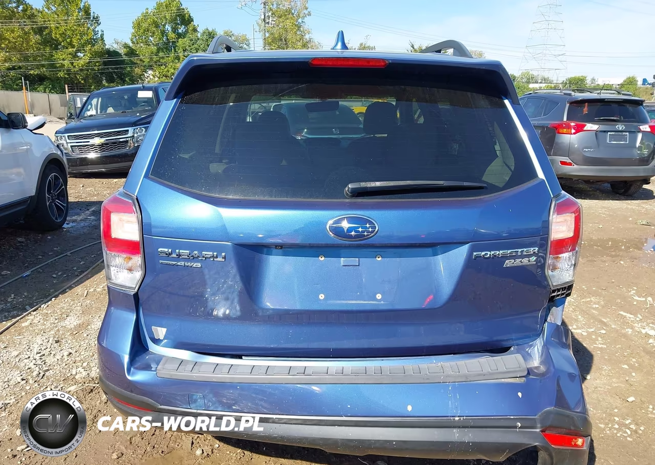 2017 Subaru Forester 2.5I Premium VIN:JF2SJAEC4HH486910 - 16