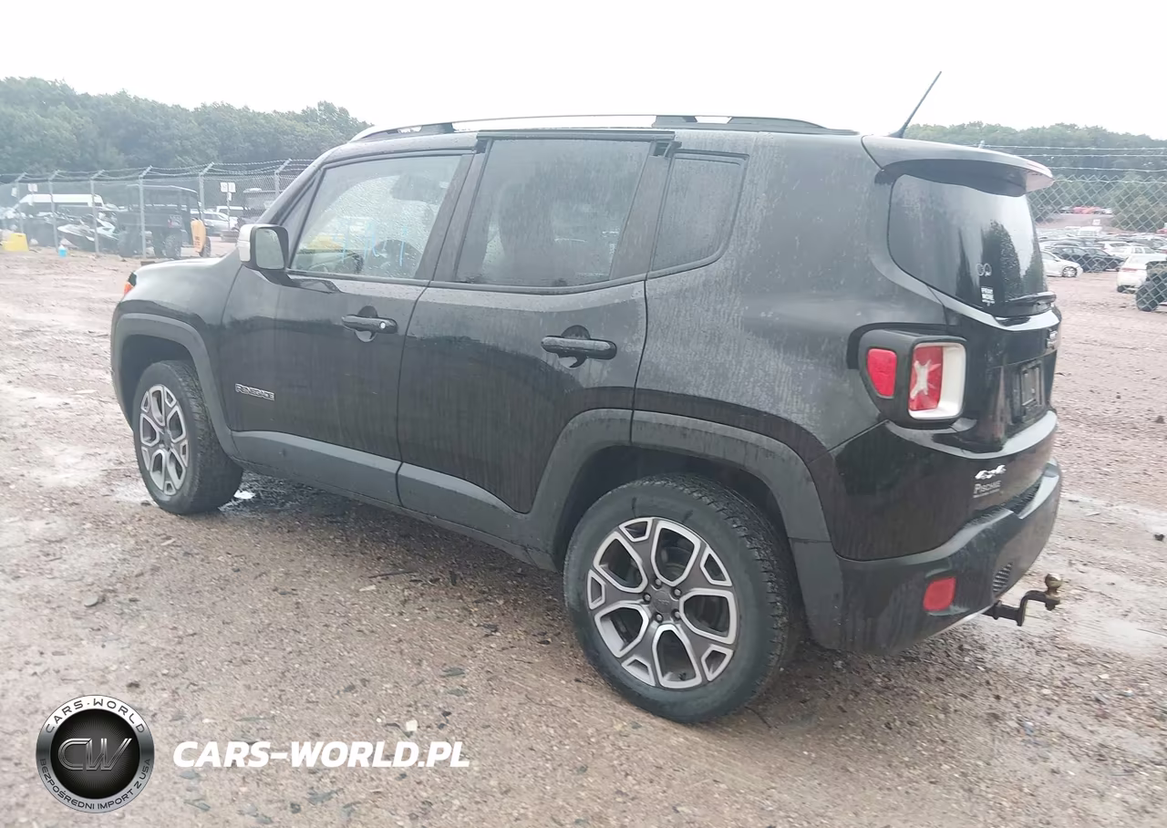 2016 Jeep Renegade Limited VIN:ZACCJBDT0GPD16609 - 3