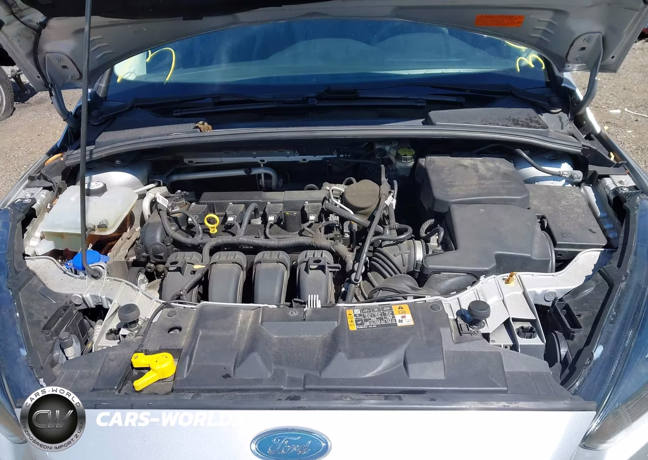 2015 Ford Focus Se VIN:1FADP3F23FL338187 - 10