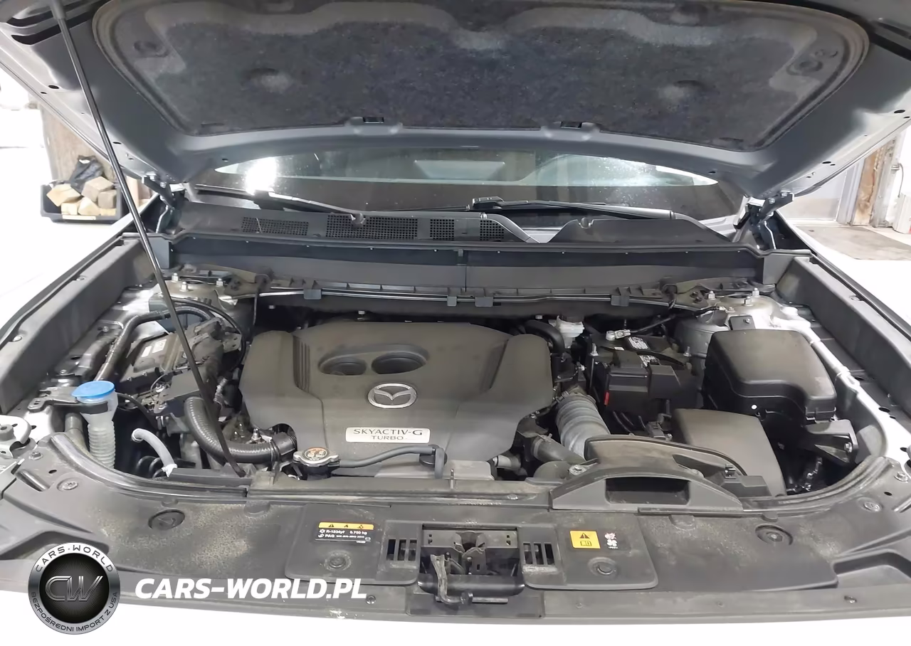 2023 Mazda Cx-9 Touring Plus VIN:JM3TCBAY2P0646520 - 10