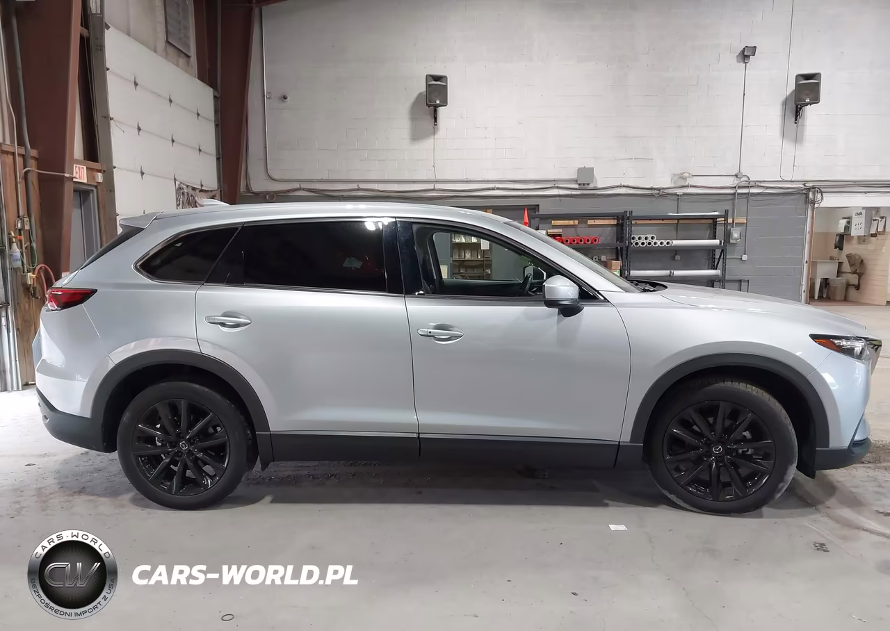 2023 Mazda Cx-9 Touring Plus VIN:JM3TCBAY2P0646520 - 13