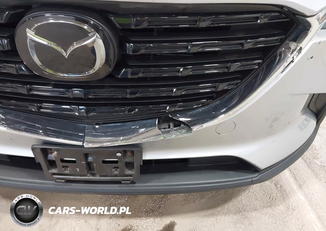 2023 Mazda Cx-9 Touring Plus VIN:JM3TCBAY2P0646520 - 17