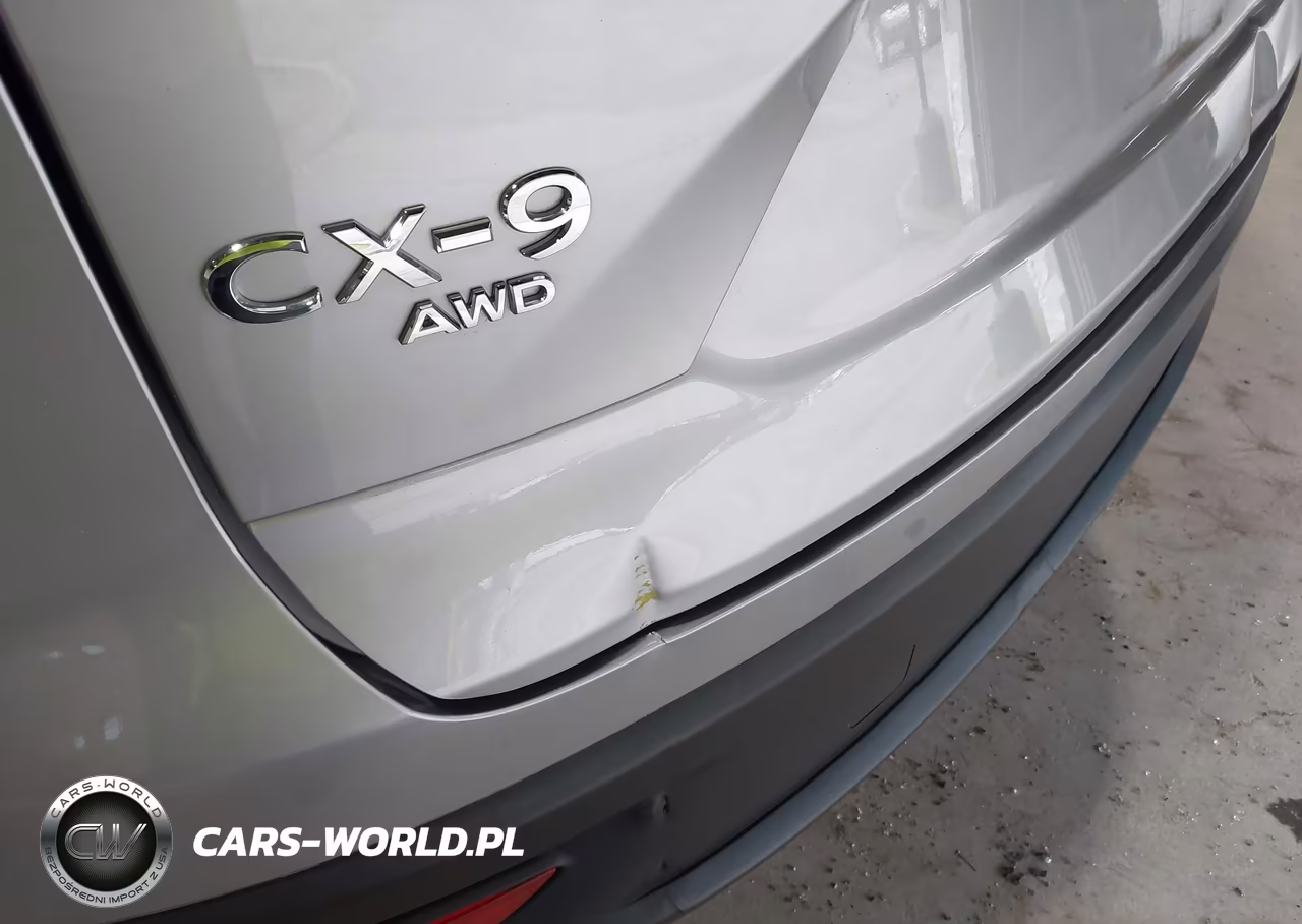 2023 Mazda Cx-9 Touring Plus VIN:JM3TCBAY2P0646520 - 20