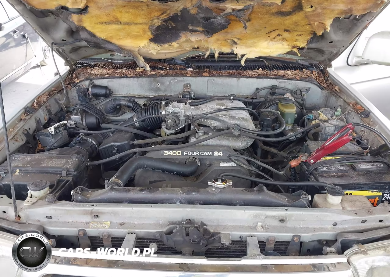 1999 Toyota 4Runner Sr5 V6 VIN:JT3GN86R3X0131085 - 10