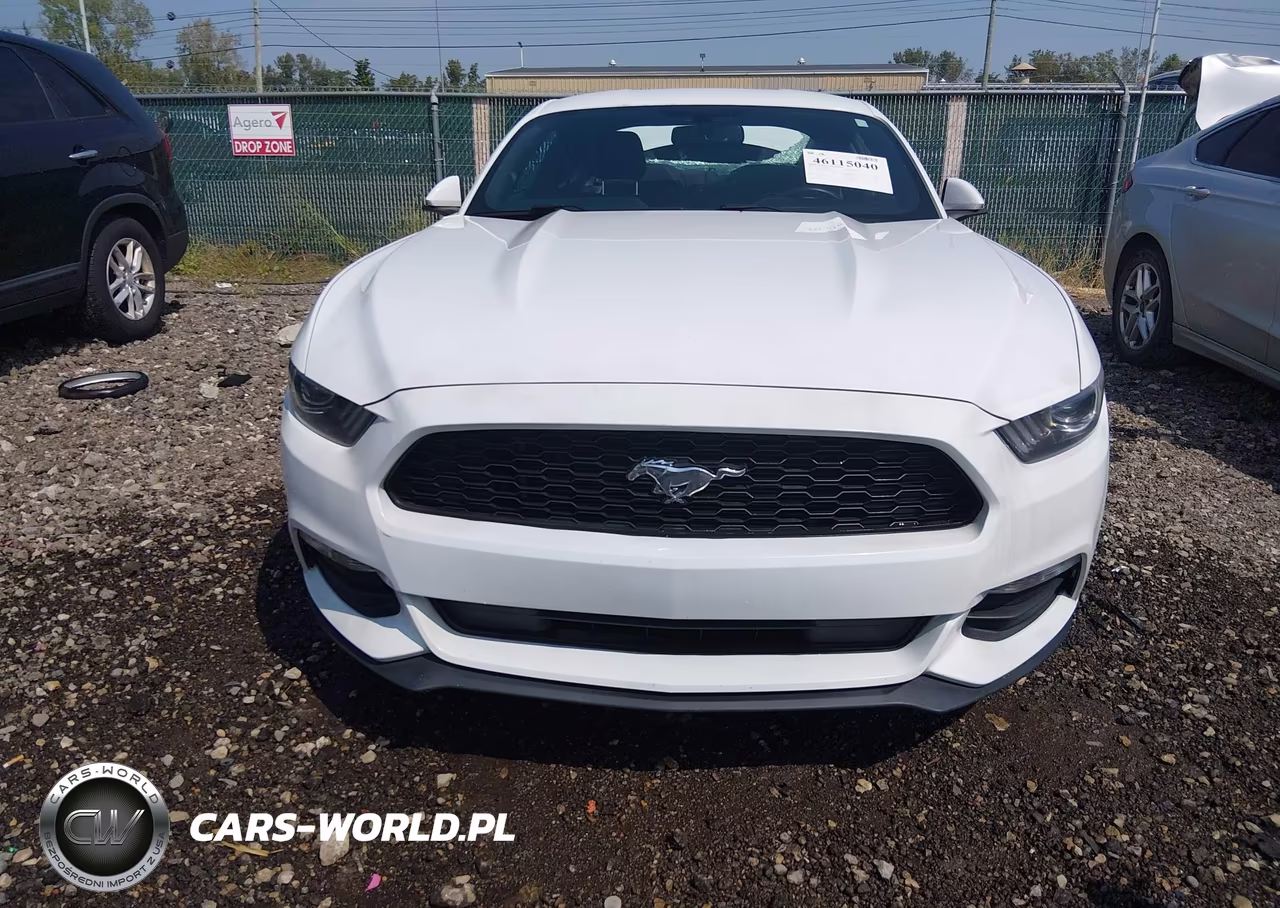 2017 Ford Mustang V6 VIN:1FA6P8AM3H5338700 - 12
