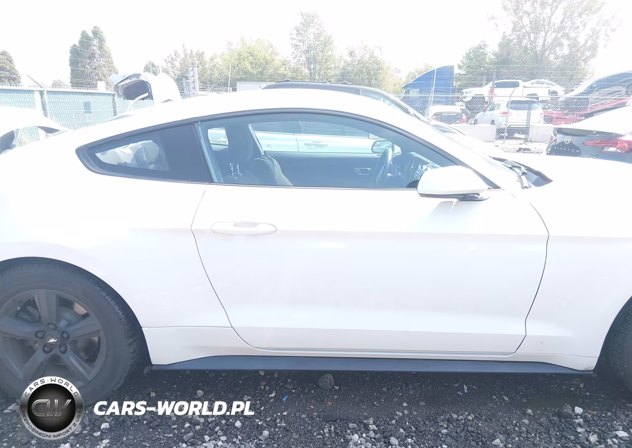 2017 Ford Mustang V6 VIN:1FA6P8AM3H5338700 - 13