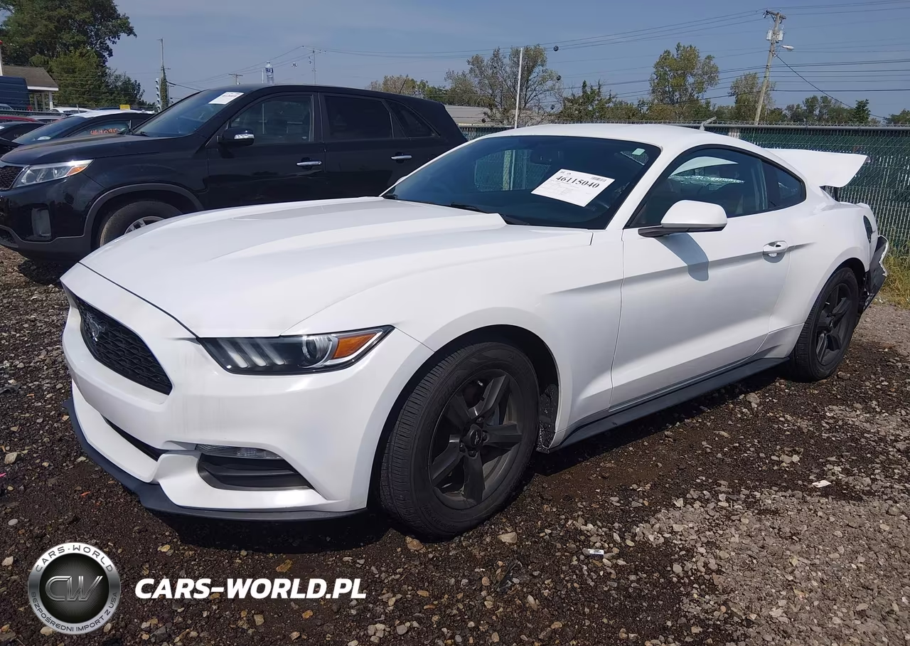 2017 Ford Mustang V6 VIN:1FA6P8AM3H5338700 - 2