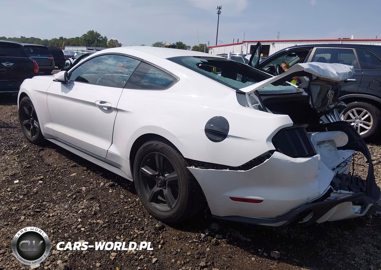 2017 Ford Mustang V6 VIN:1FA6P8AM3H5338700 - 3