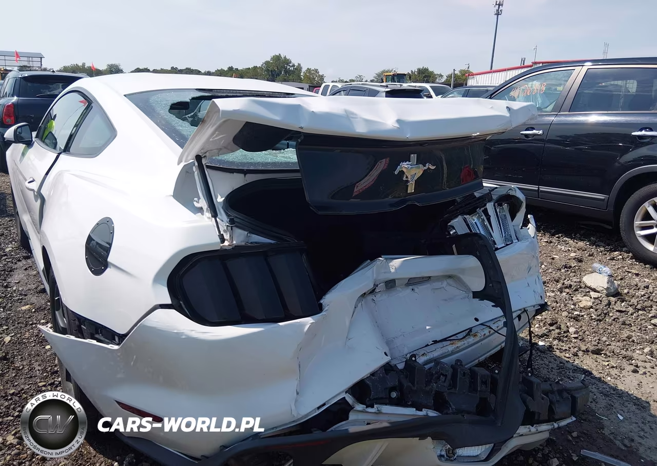 2017 Ford Mustang V6 VIN:1FA6P8AM3H5338700 - 6