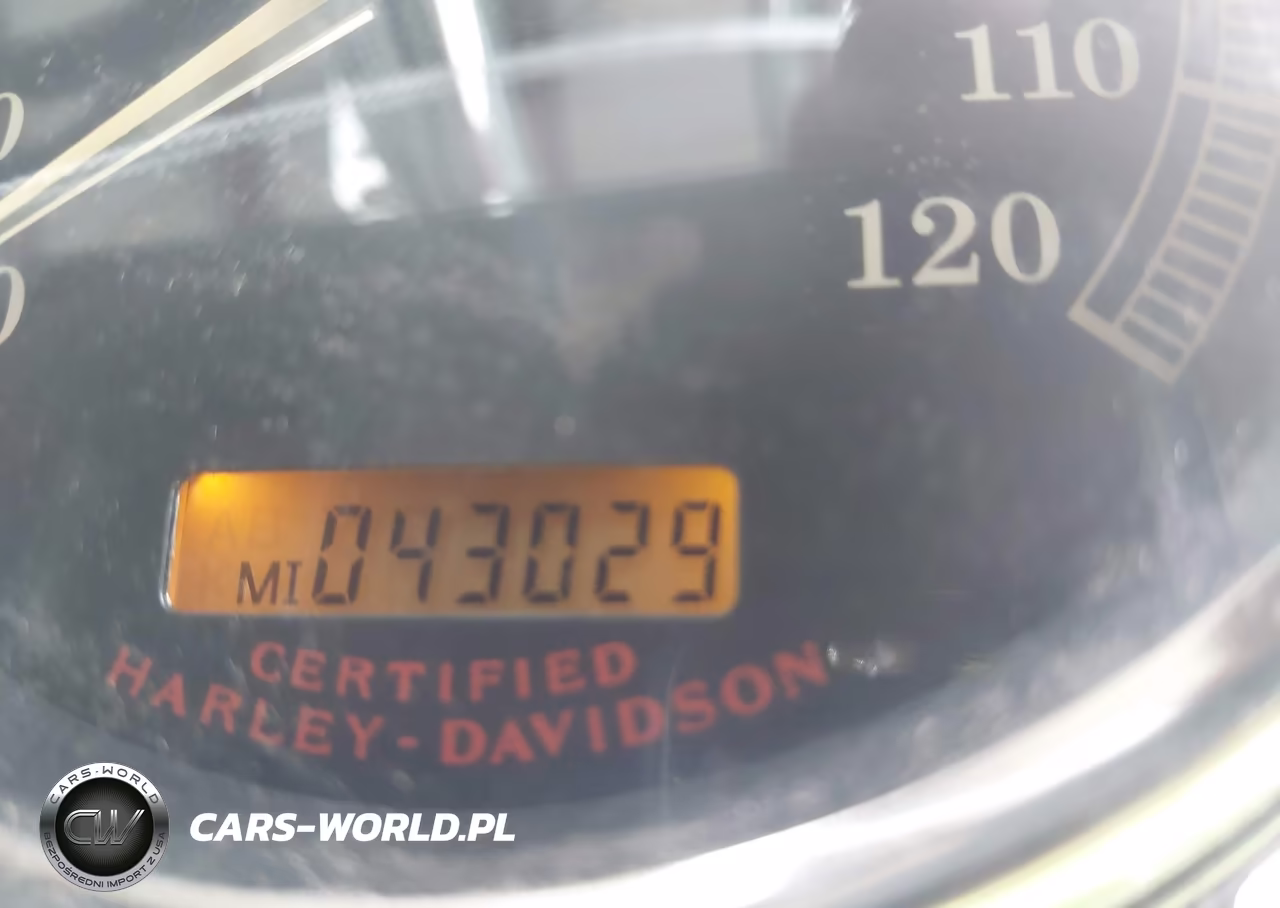 2004 Harley-Davidson Fxdwgi VIN:1HD1GPW164K309456 - 7