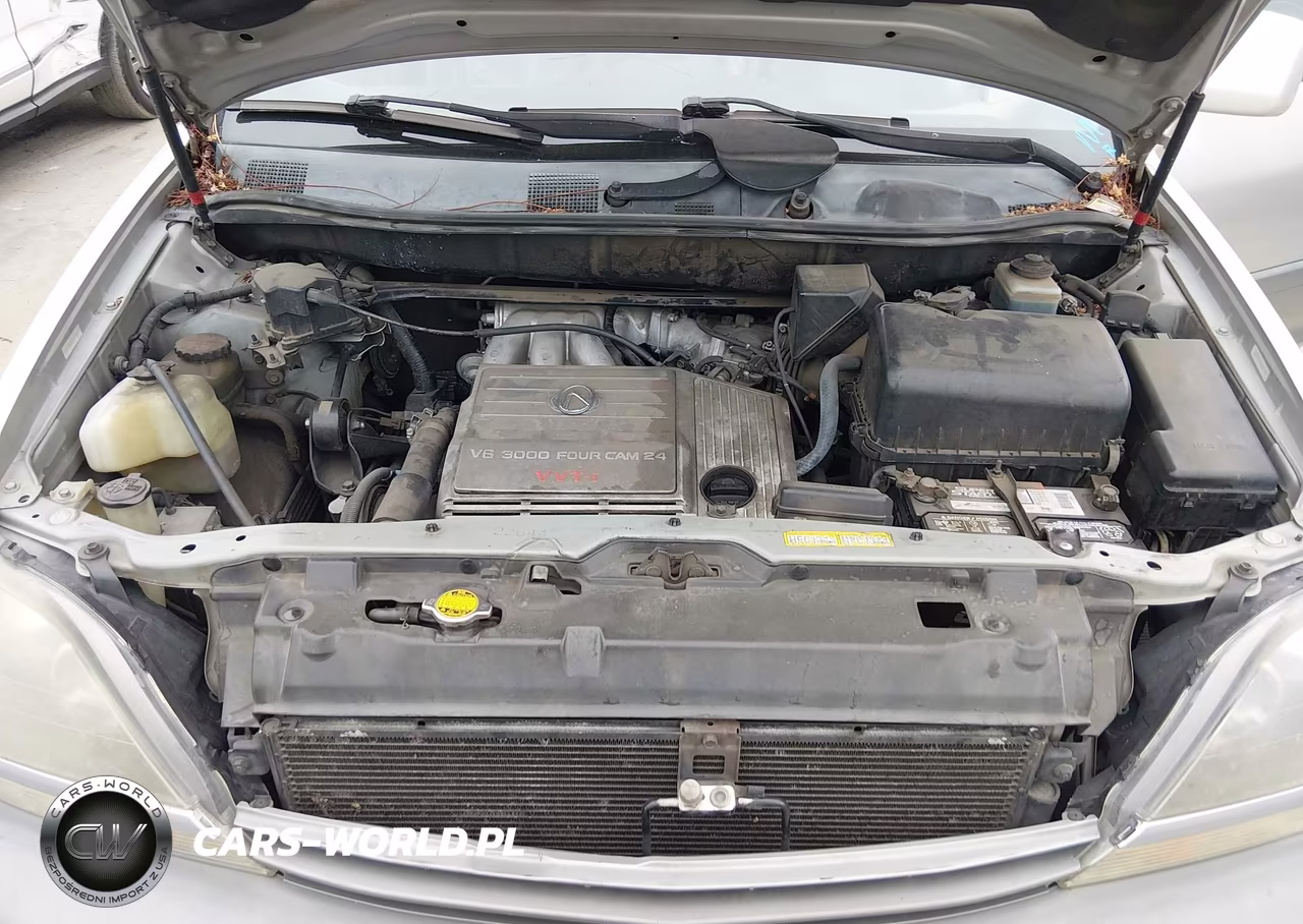 2000 Lexus Rx 300 VIN:JT6HF10U1Y0159221 - 10