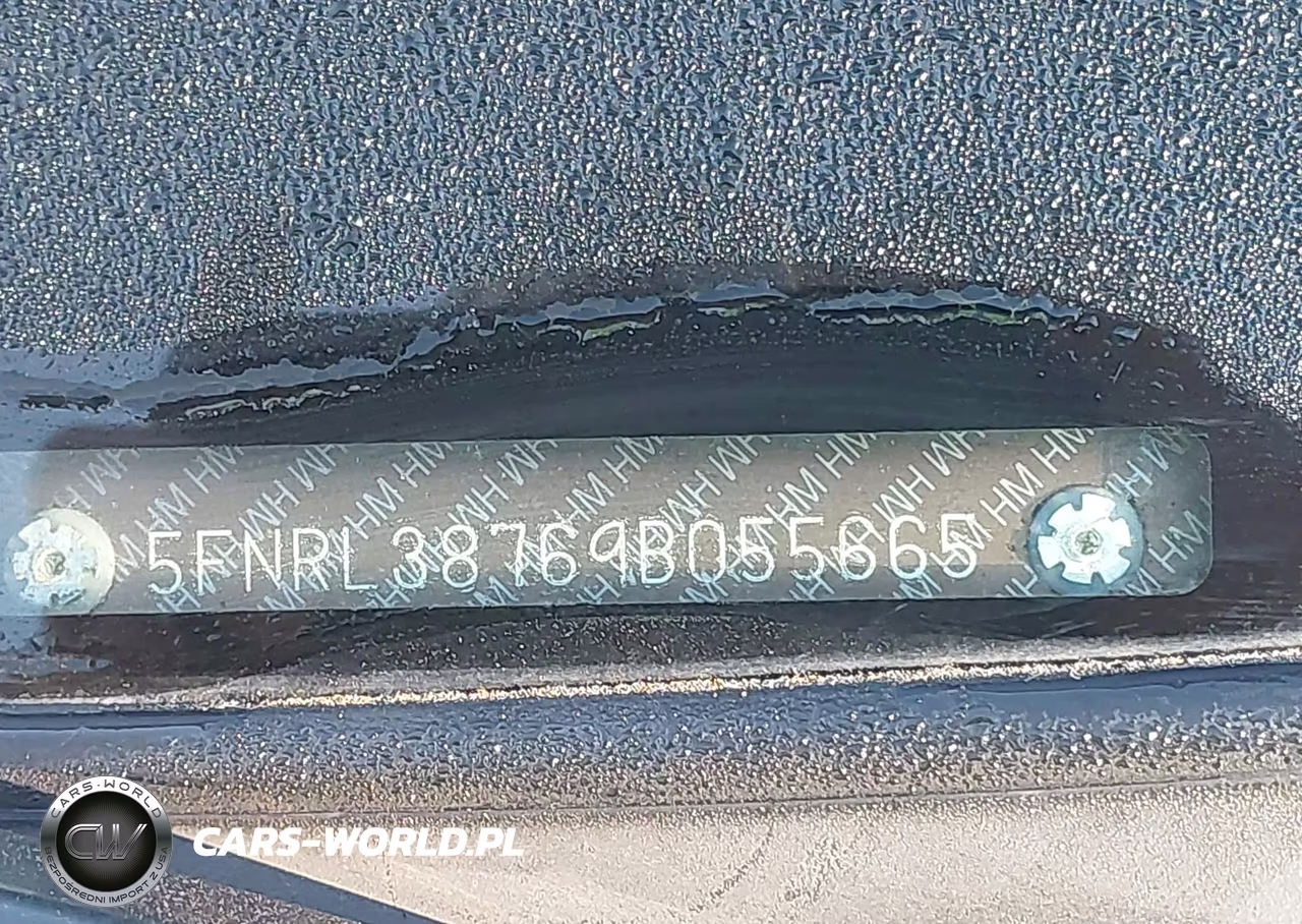 2009 Honda Odyssey Ex-L VIN:5FNRL38769B055665 - 17