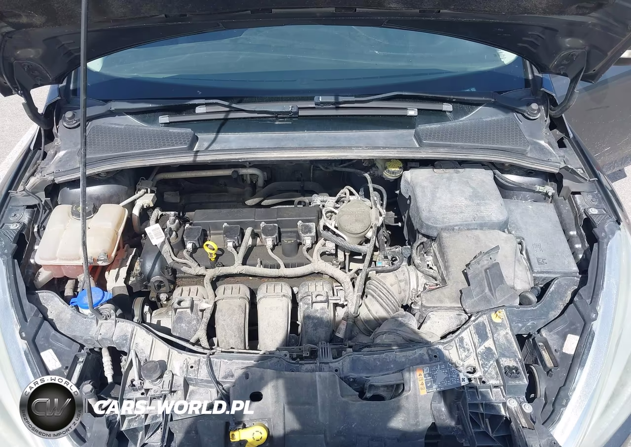 2015 Ford Focus Se VIN:1FADP3F20FL346893 - 10