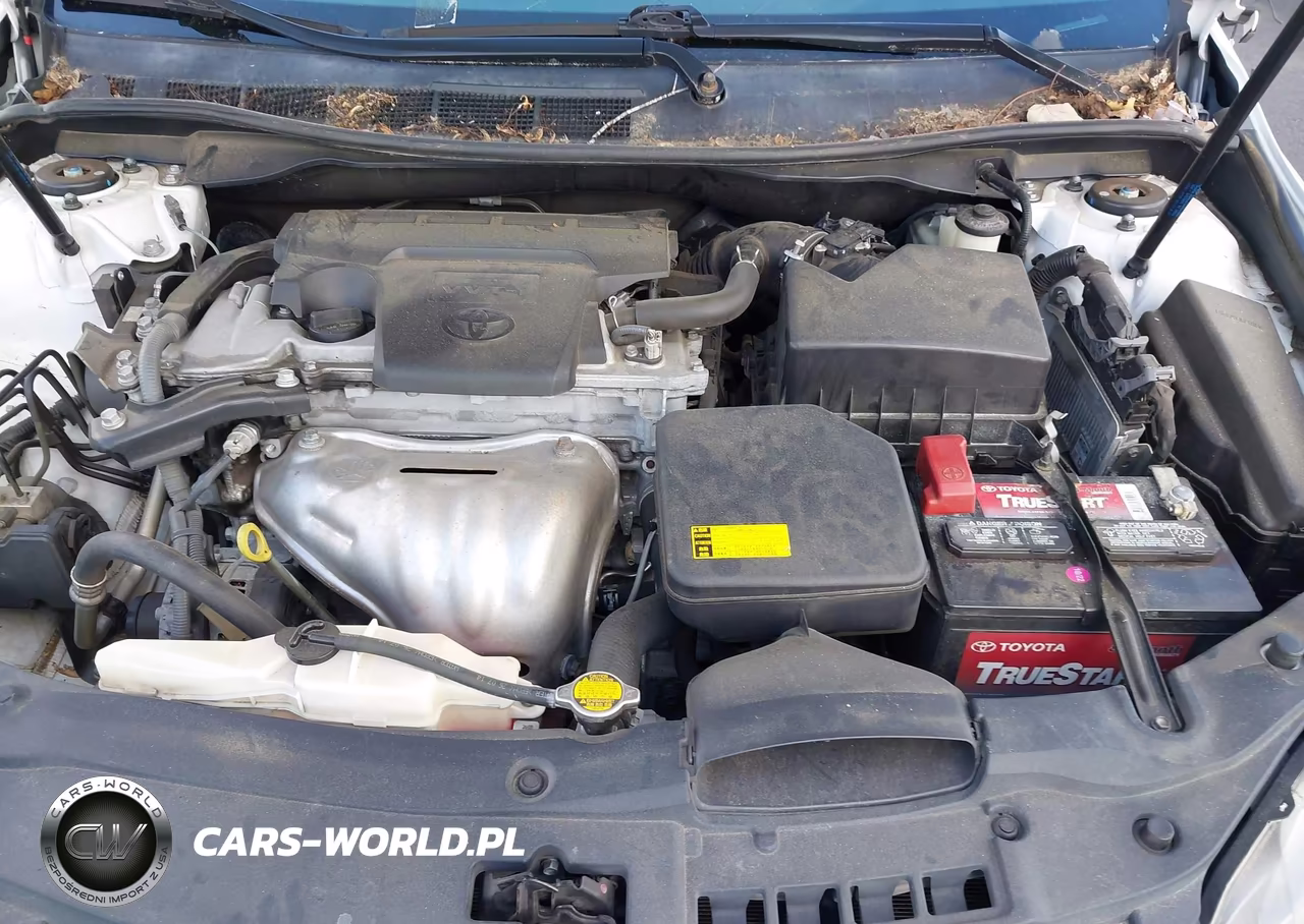 2015 Toyota Camry Se VIN:4T1BF1FK6FU019963 - 10
