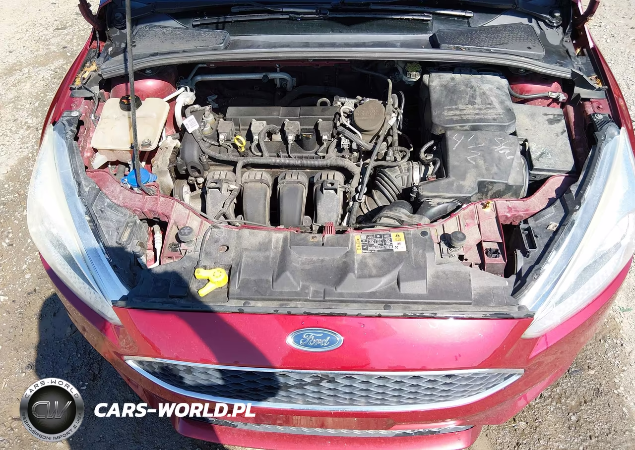 2016 Ford Focus Se VIN:1FADP3F27GL304187 - 10