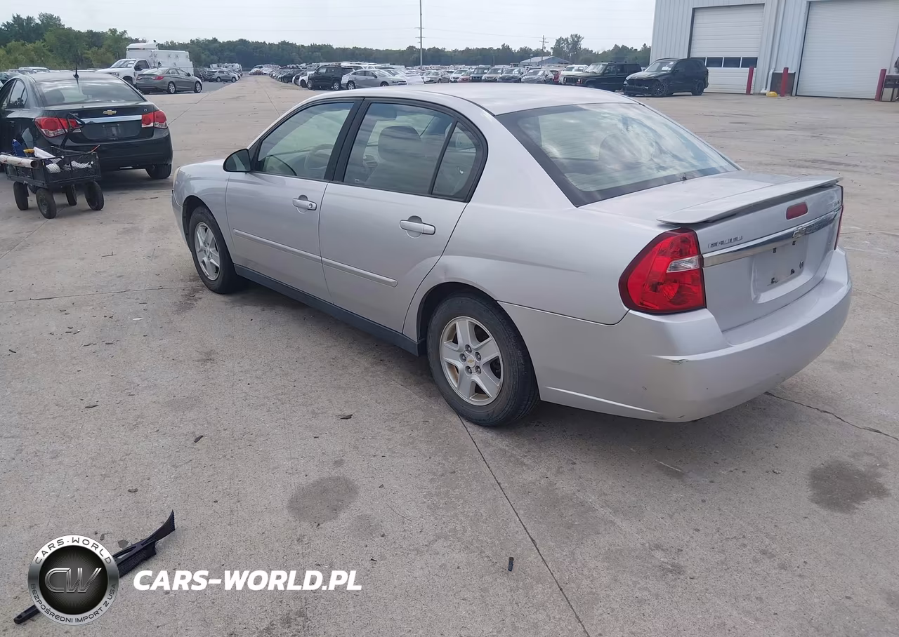 2005 Chevrolet Malibu Ls VIN:1G1ZT52805F306272 - 3