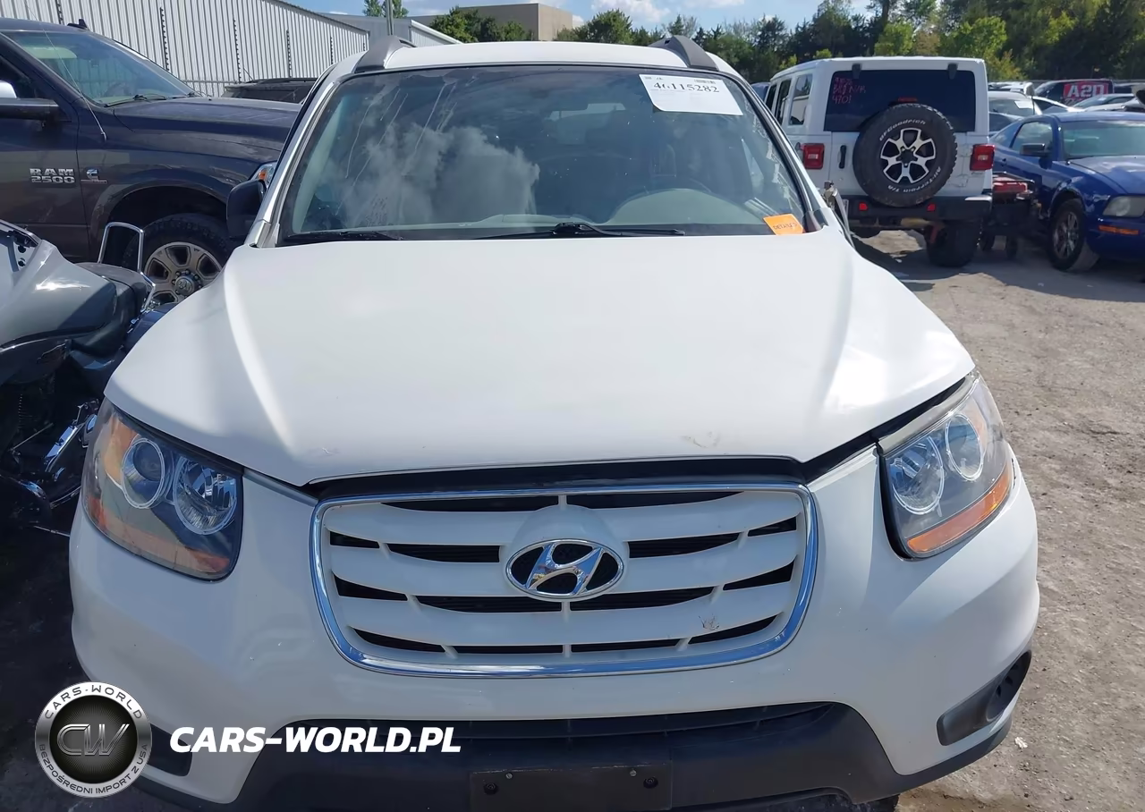 2010 Hyundai Santa Fe Gls VIN:5NMSG3AB6AH380291 - 12