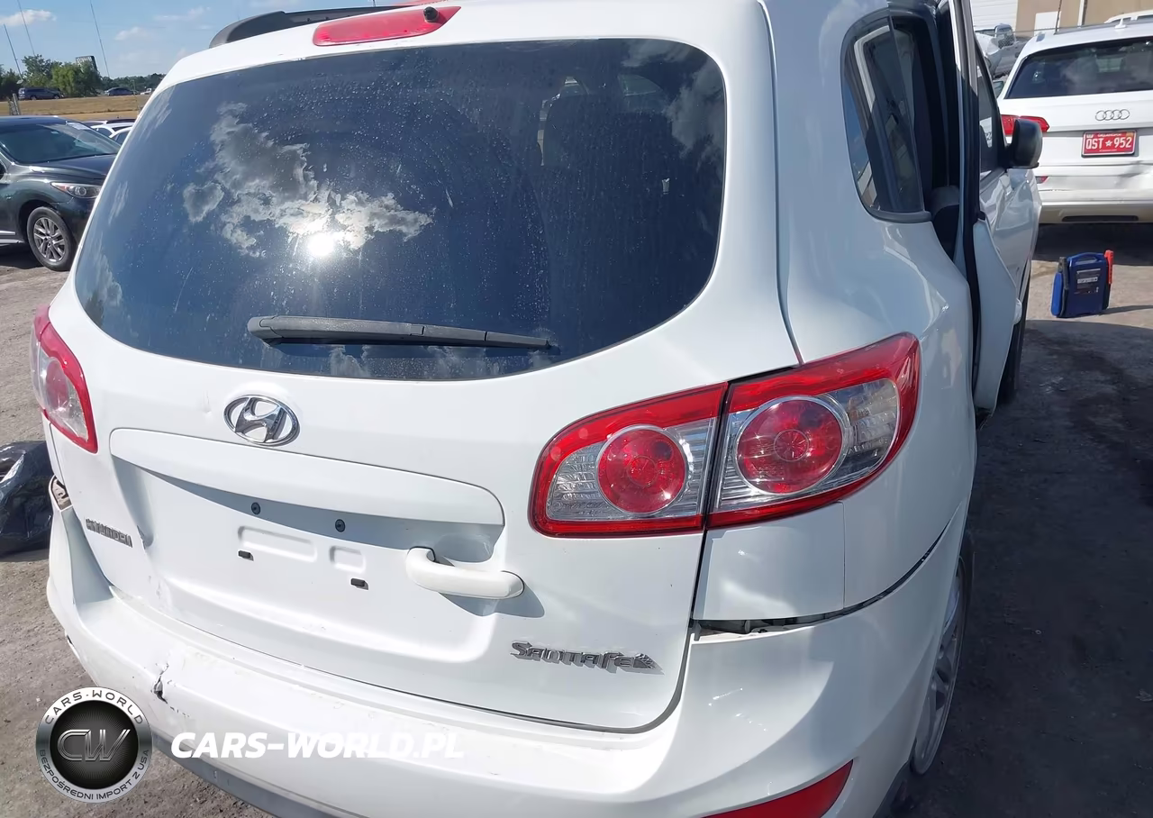 2010 Hyundai Santa Fe Gls VIN:5NMSG3AB6AH380291 - 4