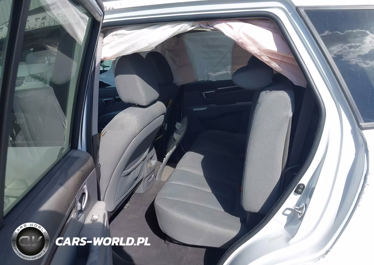2010 Hyundai Santa Fe Gls VIN:5NMSG3AB6AH380291 - 8