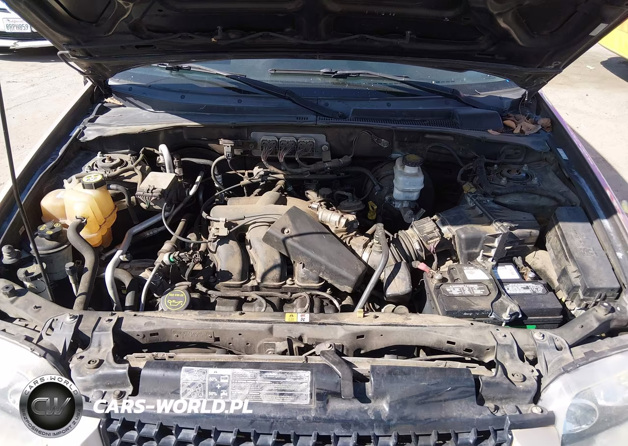 2007 Ford Escape Limited VIN:1FMCU04107KA15824 - 10