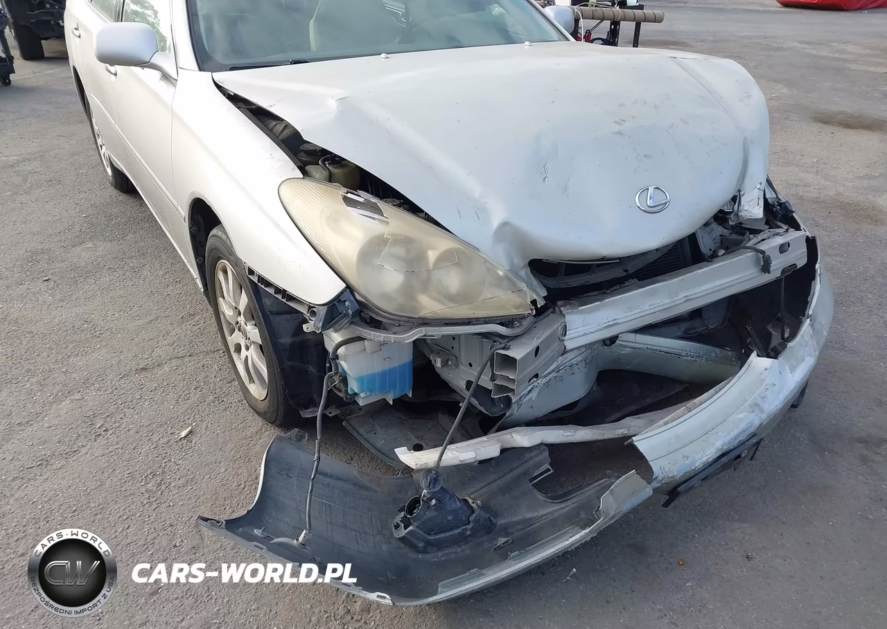 2004 Lexus Es 330 VIN:JTHBA30G645006476 - 6
