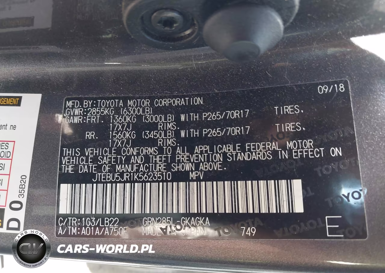 2019 Toyota 4Runner Sr5 Premium VIN:JTEBU5JR1K5623510 - 9