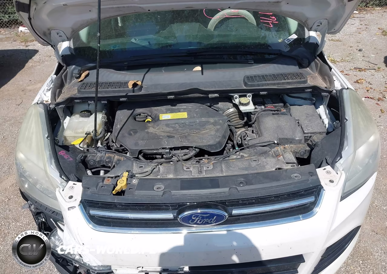 2014 Ford Escape Se VIN:1FMCU0GX1EUC19971 - 10