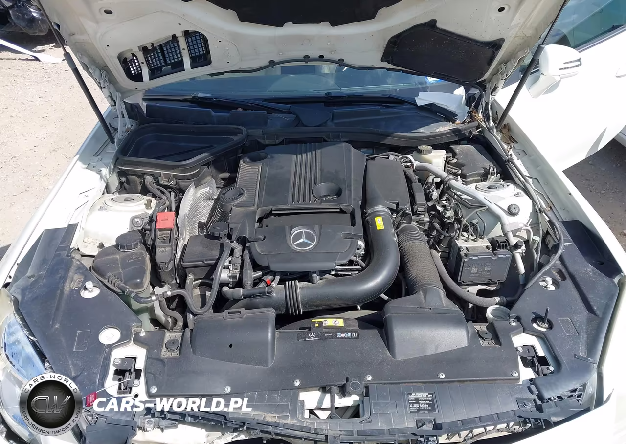 2013 Mercedes-Benz Slk 250 VIN:WDDPK4HA5DF058174 - 10