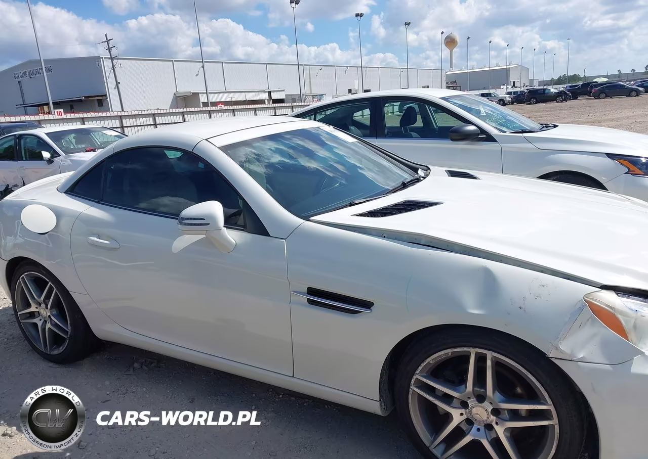 2013 Mercedes-Benz Slk 250 VIN:WDDPK4HA5DF058174 - 13
