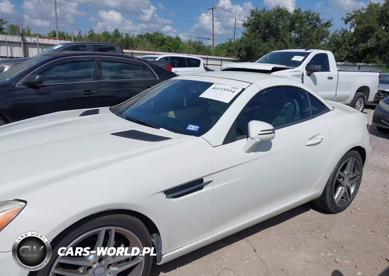 2013 Mercedes-Benz Slk 250 VIN:WDDPK4HA5DF058174 - 14