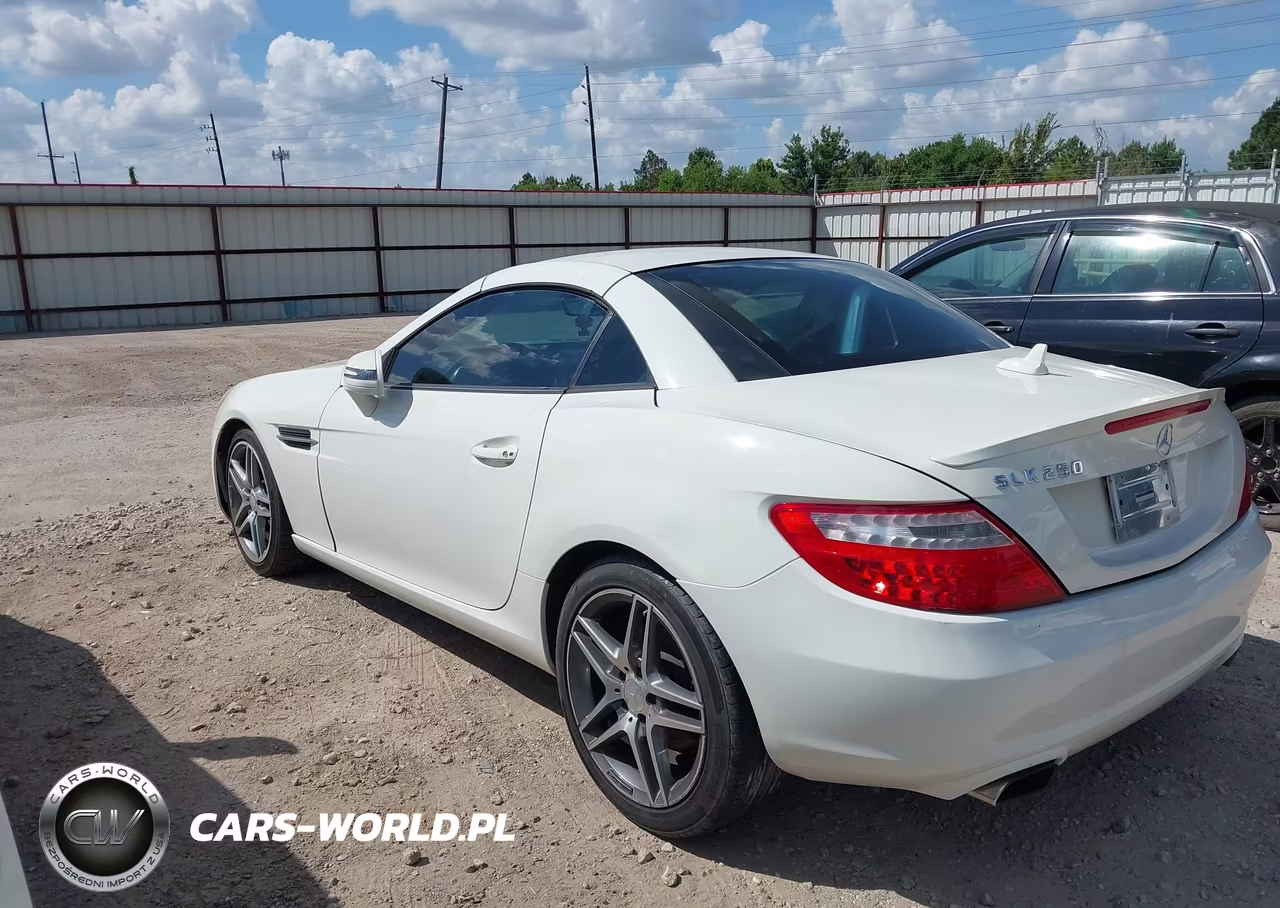 2013 Mercedes-Benz Slk 250 VIN:WDDPK4HA5DF058174 - 3