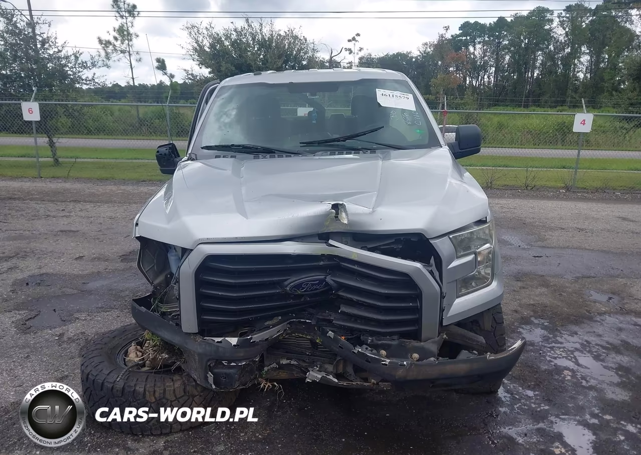 2017 Ford F-150 Xl VIN:1FTEX1CP0HKC71091 - 11