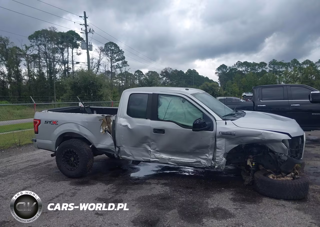 2017 Ford F-150 Xl VIN:1FTEX1CP0HKC71091 - 12