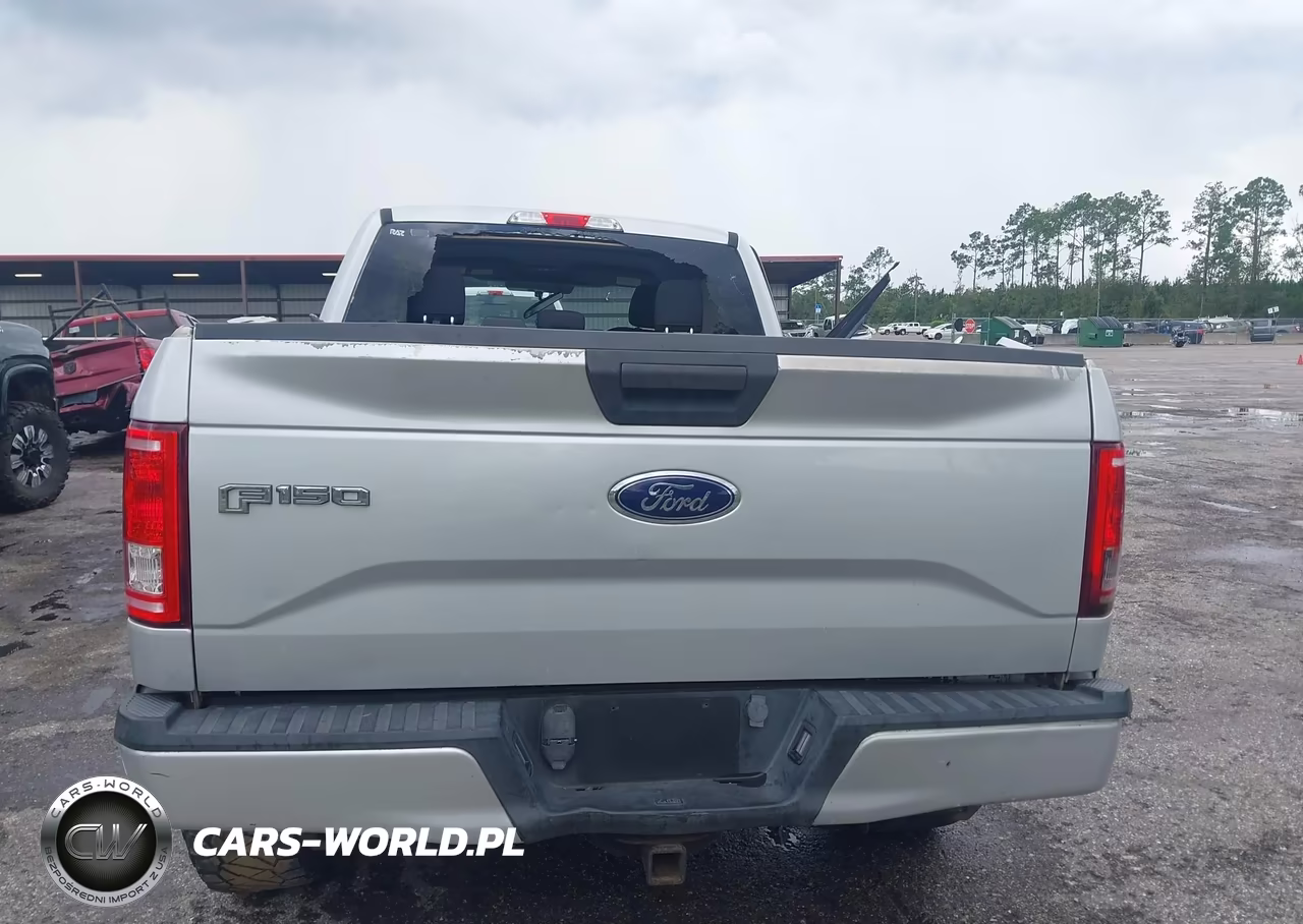 2017 Ford F-150 Xl VIN:1FTEX1CP0HKC71091 - 15