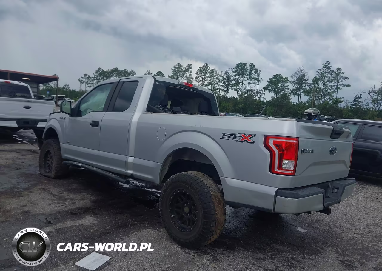 2017 Ford F-150 Xl VIN:1FTEX1CP0HKC71091 - 3