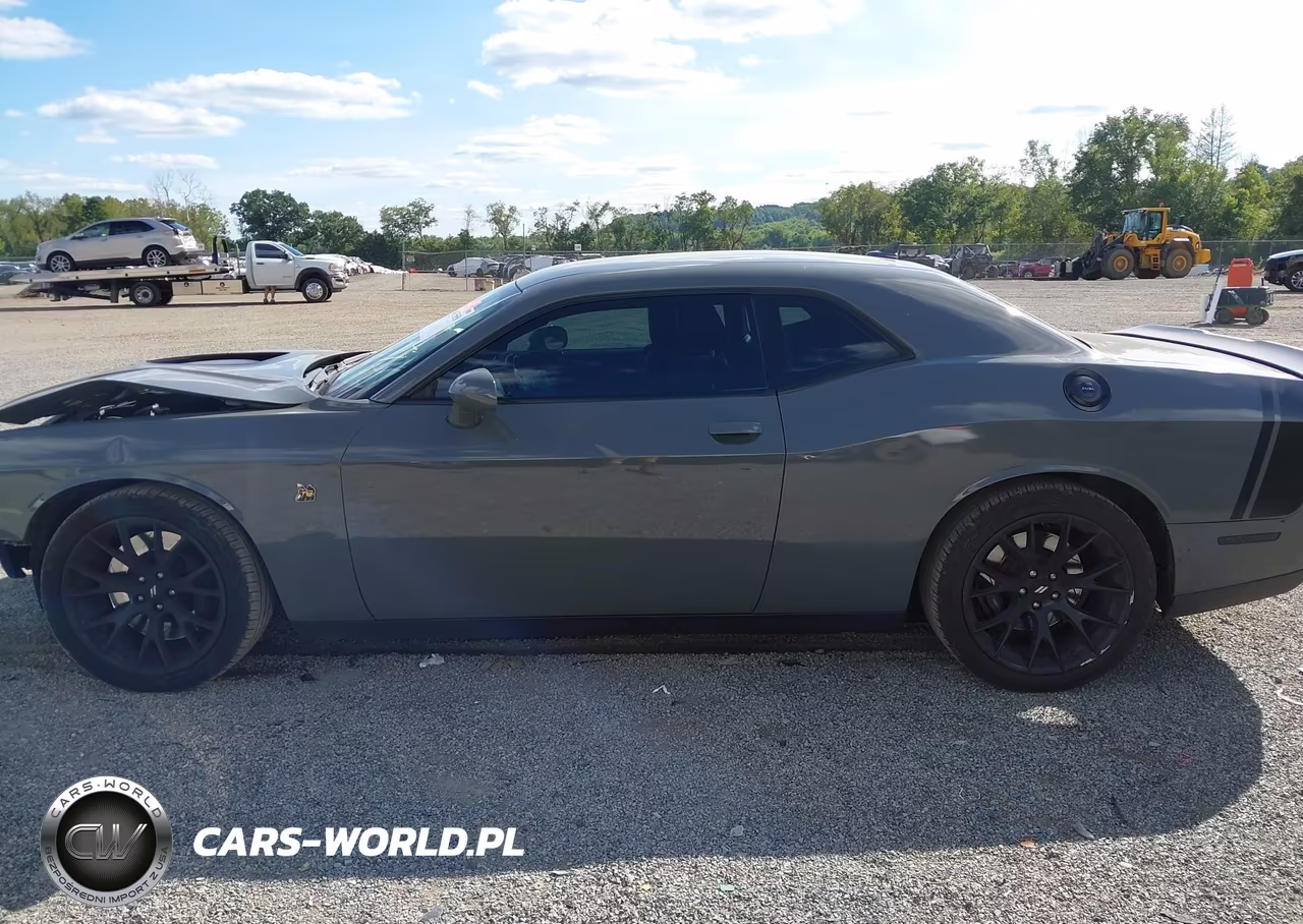 2017 Dodge Challenger 392 Hemi Scat Pack Shaker VIN:2C3CDZFJ8HH649014 - 15