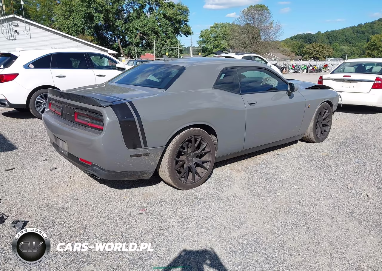 2017 Dodge Challenger 392 Hemi Scat Pack Shaker VIN:2C3CDZFJ8HH649014 - 4