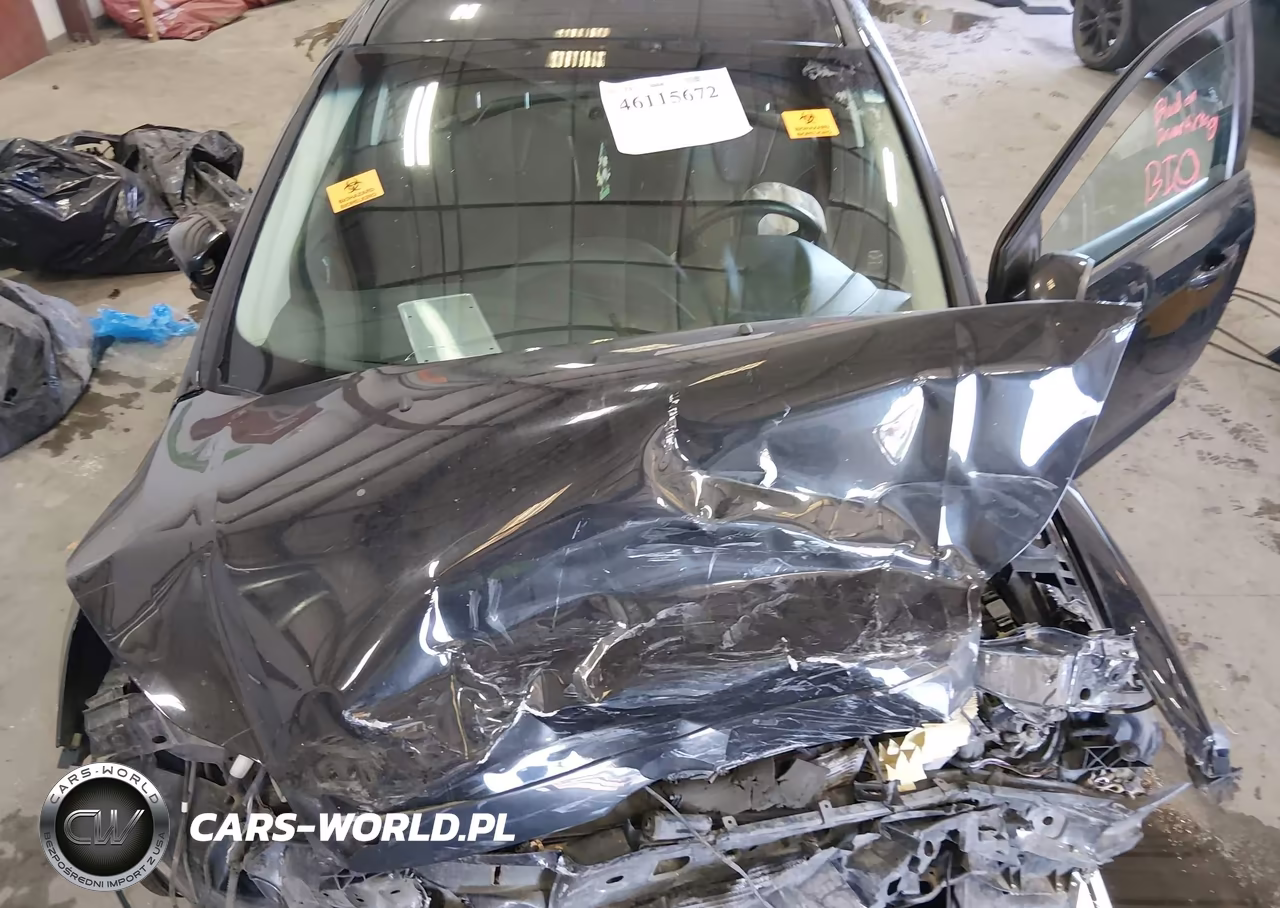 2014 Ford Focus Se VIN:1FADP3K29EL408750 - 10