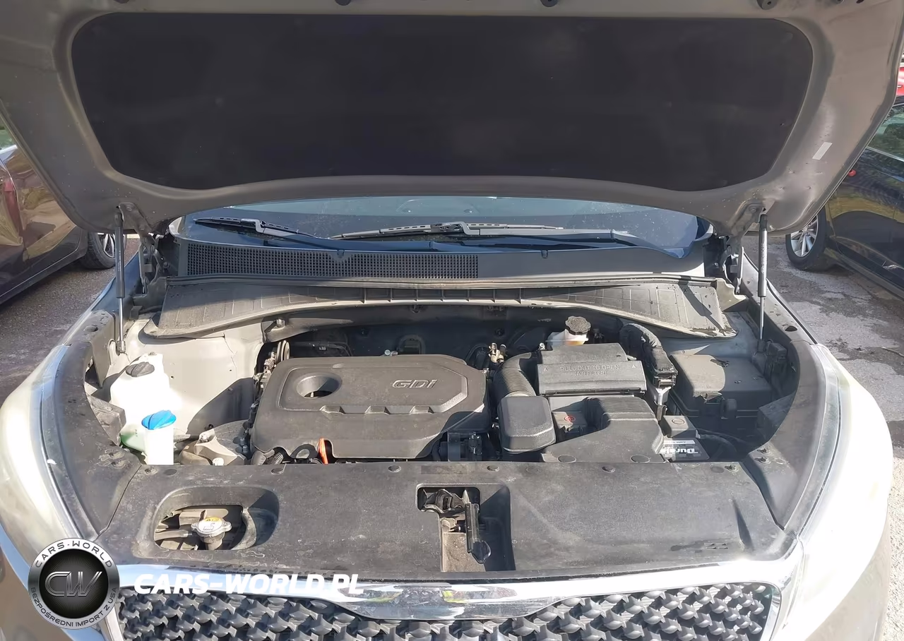 2017 Kia Sorento 2.4L Lx VIN:5XYPG4A33HG269710 - 10