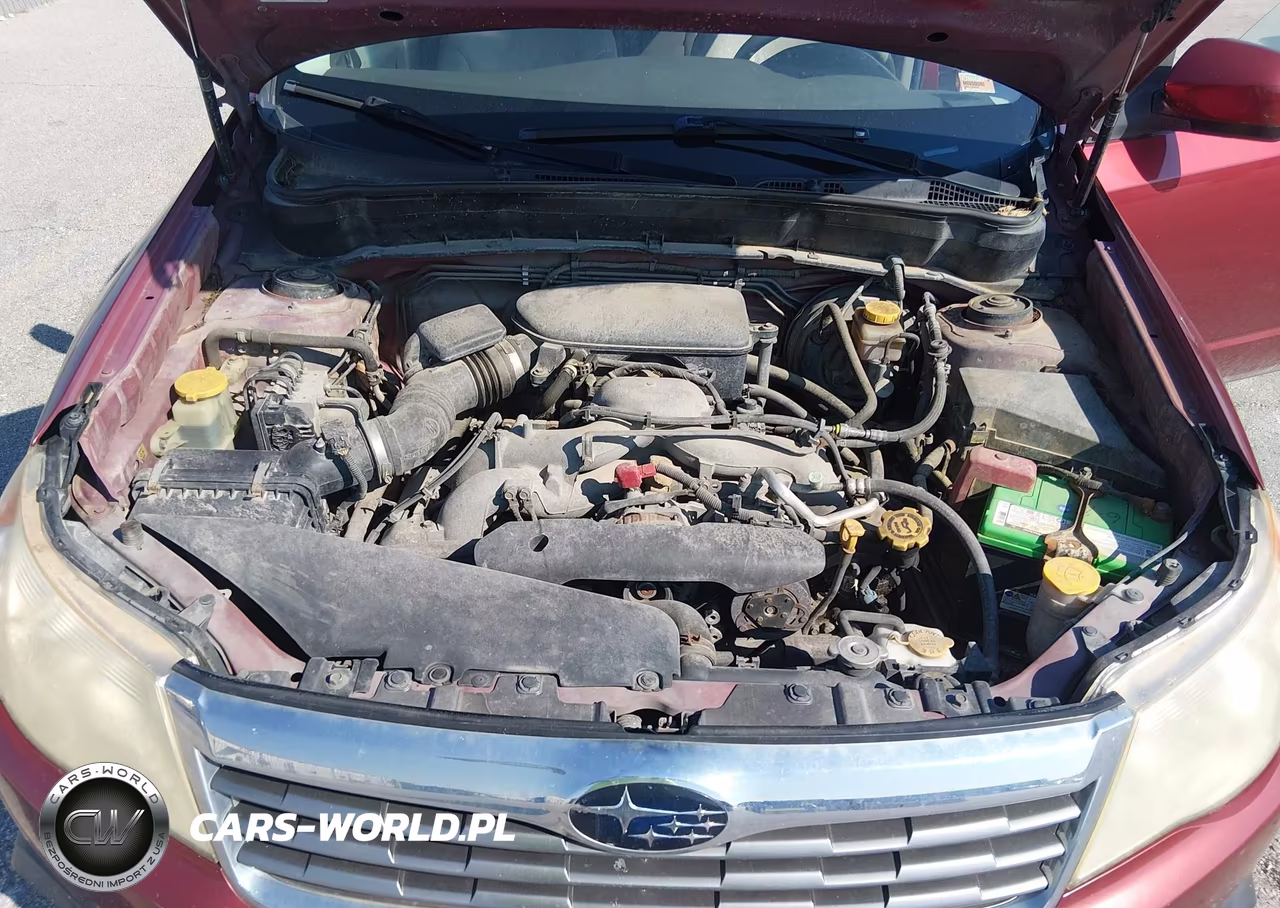 2010 Subaru Forester 2.5X Premium VIN:JF2SH6CC6AH733247 - 10