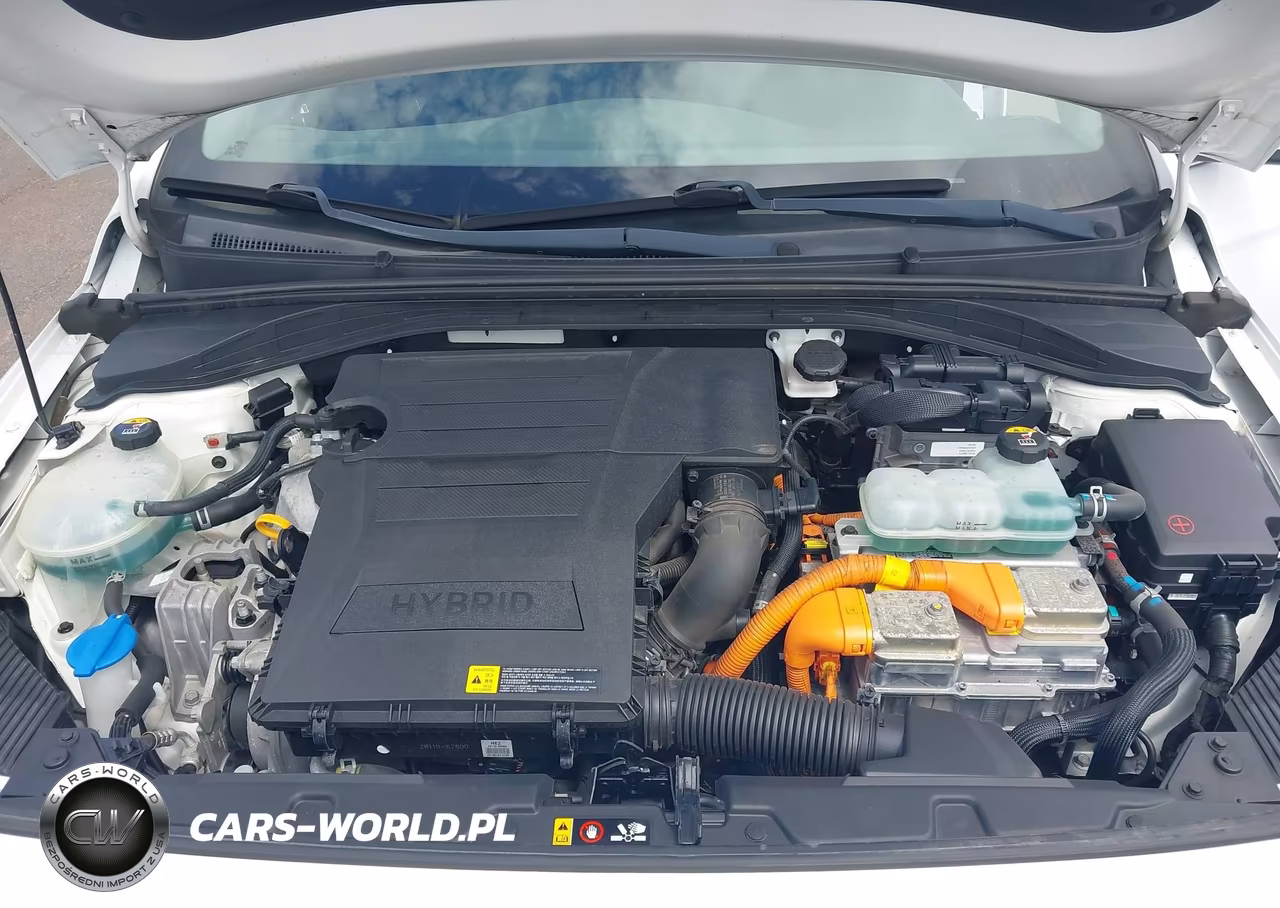 2019 Hyundai Ioniq Hybrid Sel VIN:KMHC75LC8KU106764 - 10