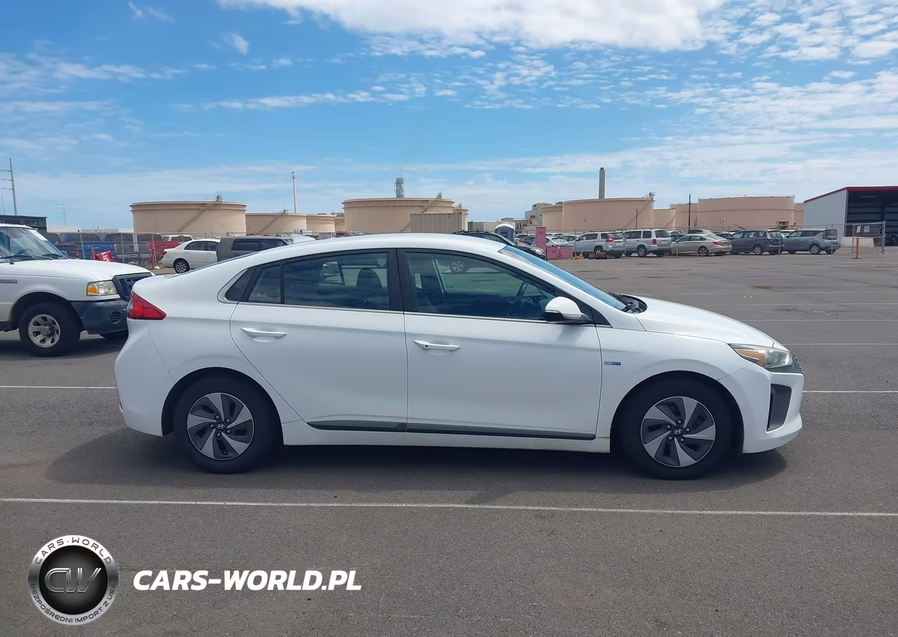 2019 Hyundai Ioniq Hybrid Sel VIN:KMHC75LC8KU106764 - 17