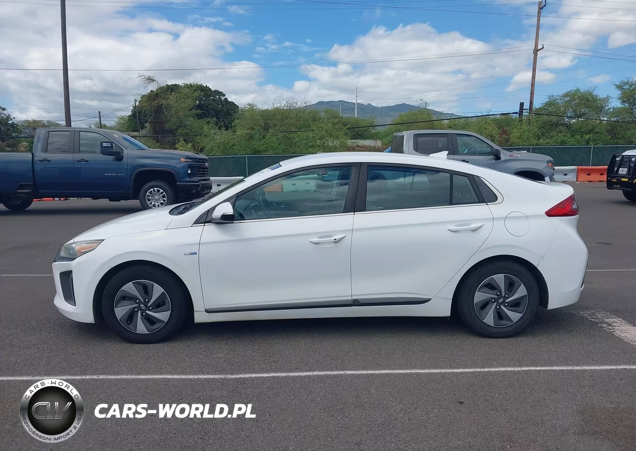 2019 Hyundai Ioniq Hybrid Sel VIN:KMHC75LC8KU106764 - 18