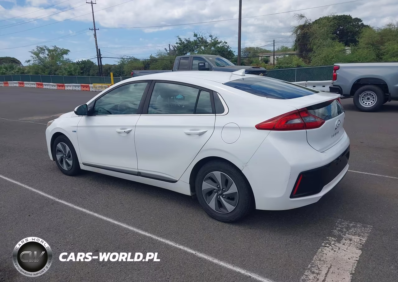 2019 Hyundai Ioniq Hybrid Sel VIN:KMHC75LC8KU106764 - 3