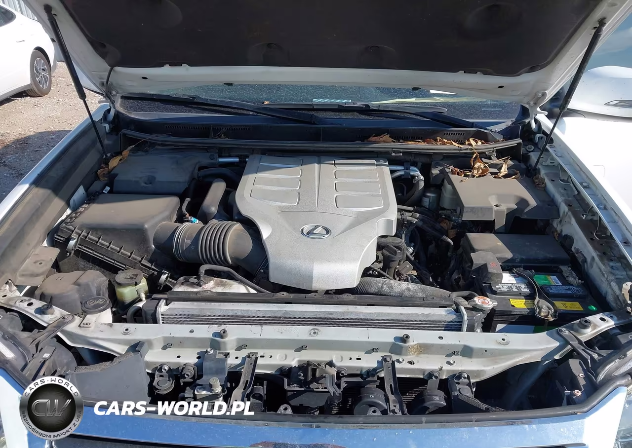 2019 Lexus Gx 460 Premium VIN:JTJBM7FX7K5218238 - 10